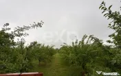 Casă semifinisată | Buzoiești | Teren generos 2.900 mp 