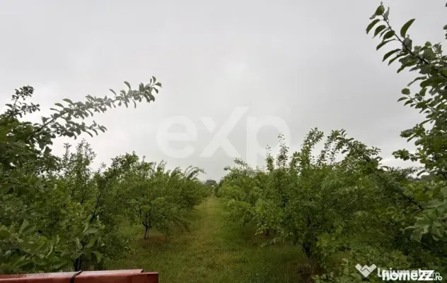 Casă semifinisată | Buzoiești | Teren generos 2.900 mp