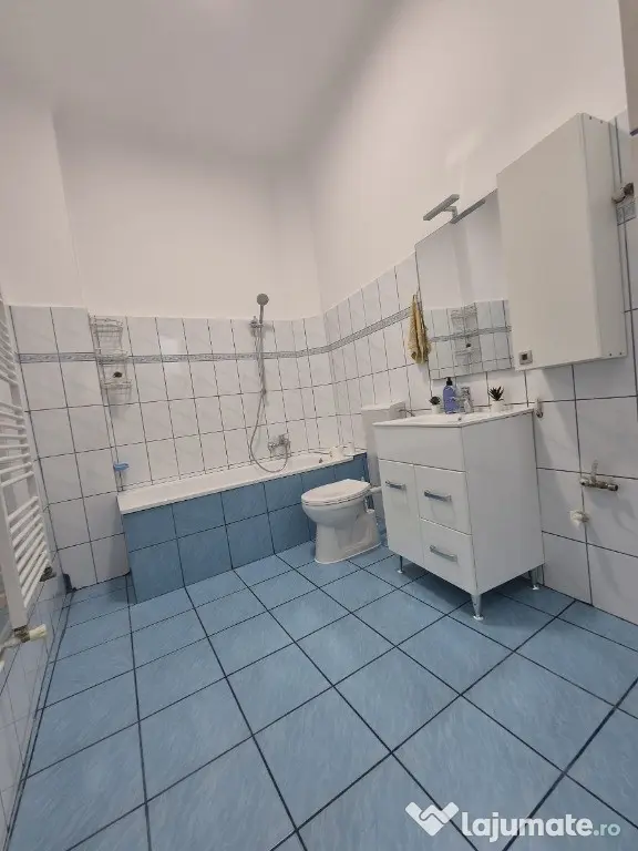Casă cu stil unic, în inima Bucureștiului (zona Eminescu–Vasile Lascăr