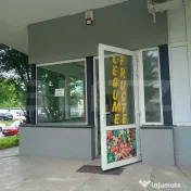 Spatiu comercial 