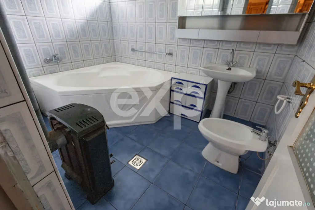 Casă spațioasă cu livadă în Buziaș