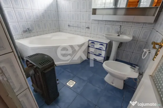Casă spațioasă cu livadă în Buziaș