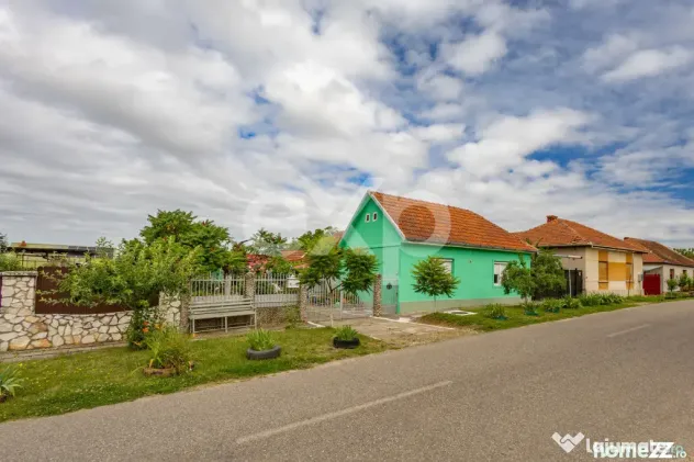 Casă spațioasă cu livadă în Buziaș - Buzias (Timis)