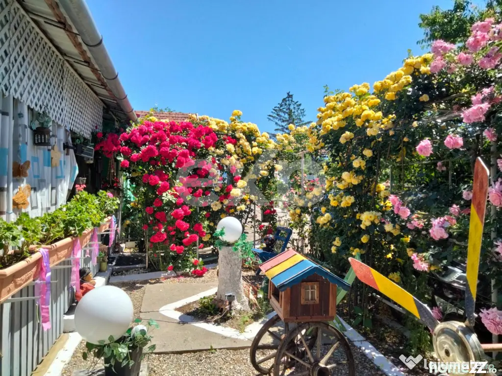 Casă spațioasă cu livadă în Buziaș - Buzias (Timis)