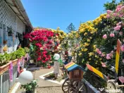 Casă spațioasă cu livadă în Buziaș