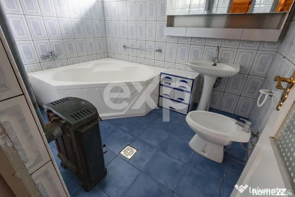 Casă spațioasă cu livadă în Buziaș