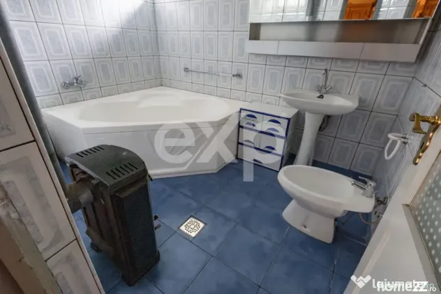 Casă spațioasă cu livadă în Buziaș