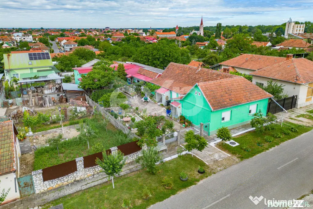 Casă spațioasă cu livadă în Buziaș