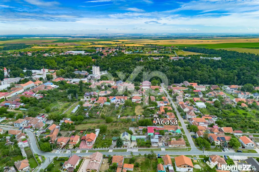 Casă spațioasă cu livadă în Buziaș
