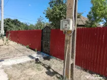 Vând căței Rottweiler