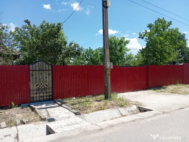 Vând căței Rottweiler