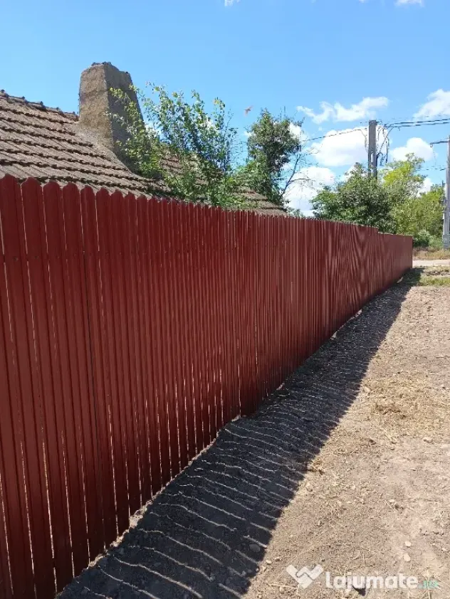 Vând căței Rottweiler