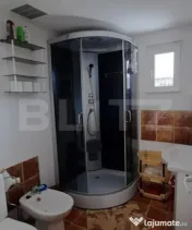 Cabană moderna din lemn 2017, 4 dormitoare, Șemineu, Tău 