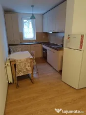 Apartament 3 camere Ion Slavici parter