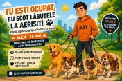 Plimbare animale (caini, pisici) 