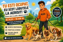 Plimbare animale (caini, pisici)