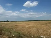 VIGAFON - Teren intravilan Parc Municipal Vest