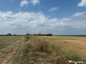 VIGAFON - Teren intravilan Parc Municipal Vest