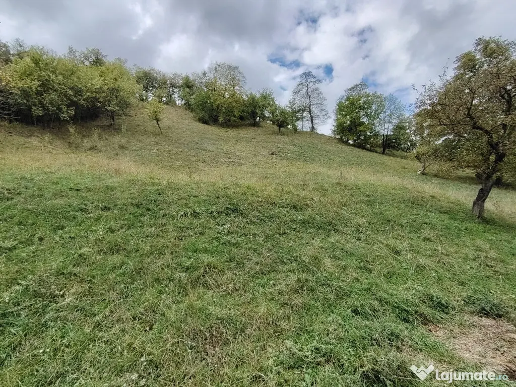 Teren de 3900mp – Câmpulung, jud. Argeș – Valea Rumâneștilor