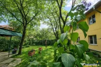 Imobil cu gradina verde, in ariere placuta, facilitati, Trac 