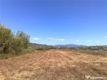 Teren intravilan 55 Ari | Sacalaseni strada principala