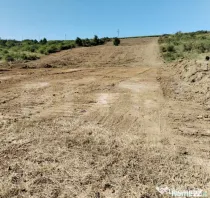 Teren 10.000 mp, cu PUZ aprobat , Sorogari-Moara de Vant- Sp