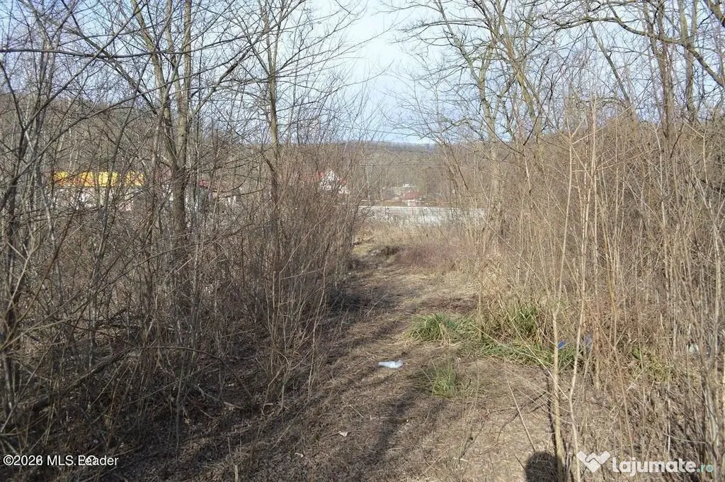 Valea Ursului - DN 7, Teren Stradal 2744 mp