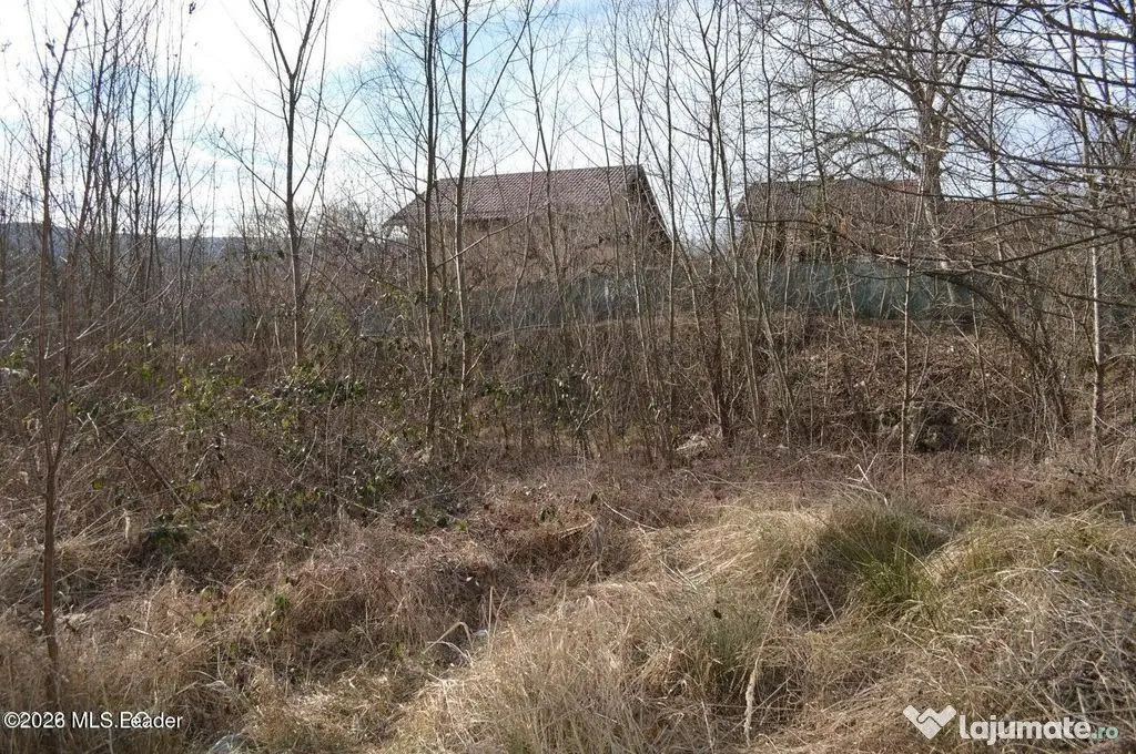 Valea Ursului - DN 7, Teren Stradal 2744 mp