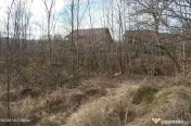 Valea Ursului - DN 7, Teren Stradal 2744 mp
