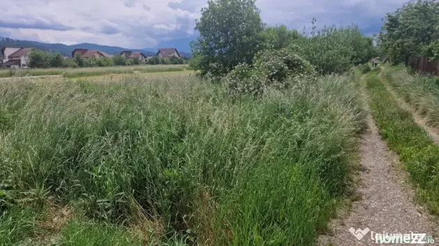 Teren intravilan Cristian