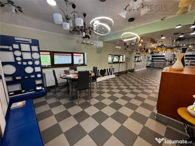 Spatiu Comercial Casa rezidentiala curte privata