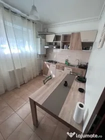 Dimitrie leonida chiar la metrou demisol