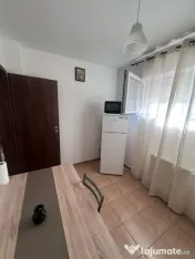 Dimitrie leonida chiar la metrou demisol 