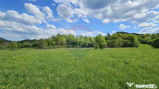 Teren intravilan 9,010mp Campulung Moldovenesc / Calea Bu...