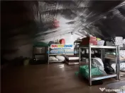 Casa P 1 cu curte proprie | 2 locuri de parcare si pod izola 