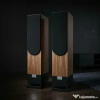 Living Voice IBX-R4
