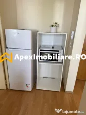 Apartament 2 camere de inchiriat Victoriei București | Apex