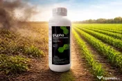 Erbicid total Glypho 360g/l 