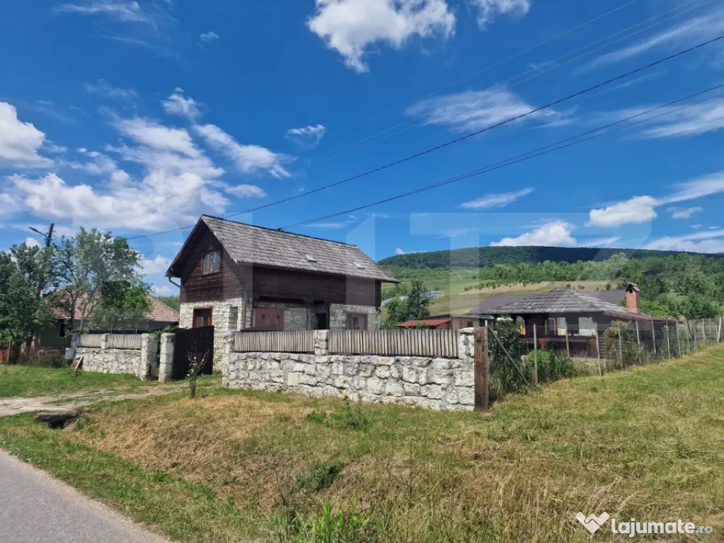 Casă cu 2 clădiri, foișor generos și teren de 3300 mp -