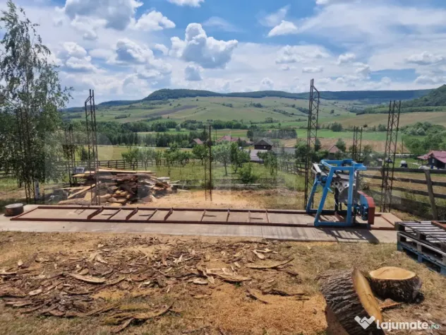 Casă cu 2 clădiri, foișor generos și teren de 3300 mp -