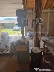 Proprietate deosebită: Casă cu 2 clădiri, foișor generos
