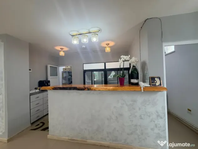UNIC-AFACERE LA CHEIE-SALINA+RESTAURANT+CAMERE+PARCARE+TEREN