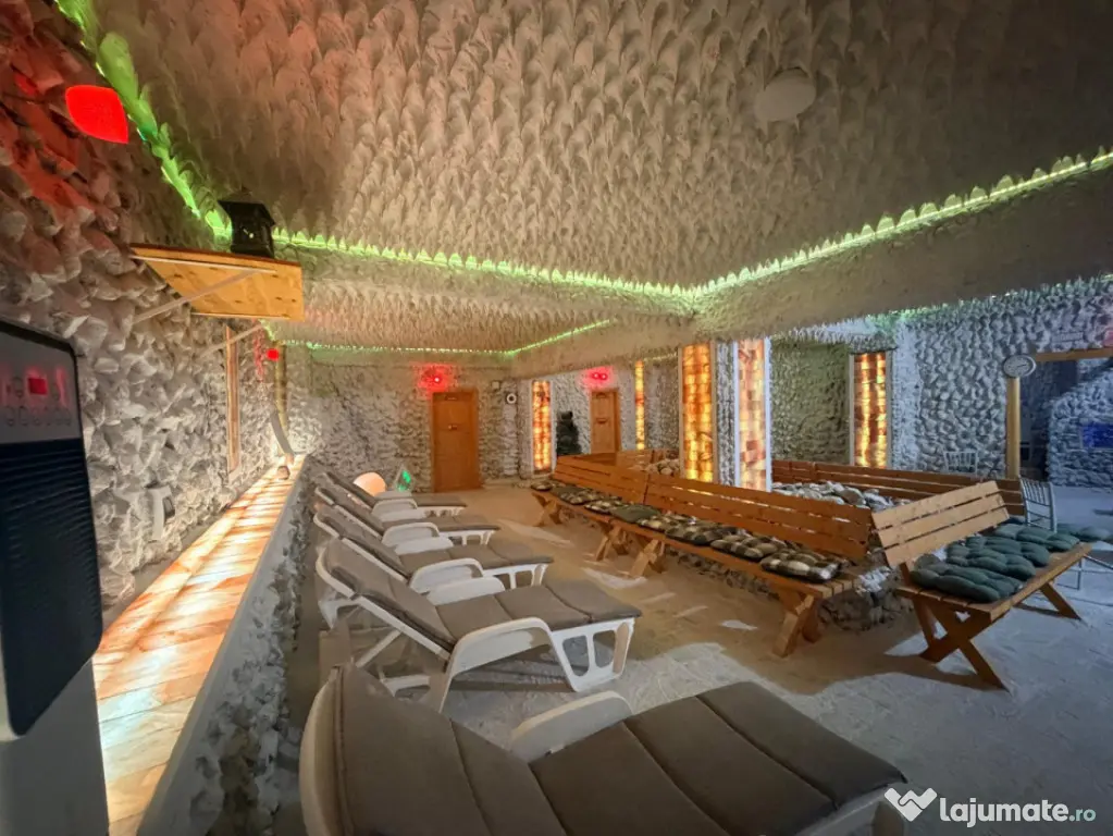 UNIC-AFACERE LA CHEIE-SALINA+RESTAURANT+CAMERE+PARCARE+TEREN