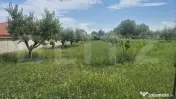 Teren intravilan de vanzare, 5488 mp, in localitatea Ambud, 