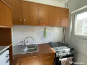 Apartament cu 1 camera in Micalaca 