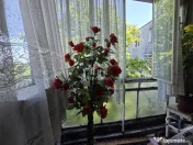 Apartament cu 3 camere, zona Bvd. Stafionului/BZ ~ etaj 3 din 4 ~ 