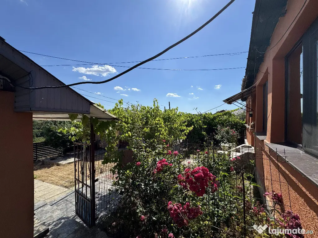 Casa traditionala + ANEXA locuibila, T=1153 mp, D = 27m, Satul nou