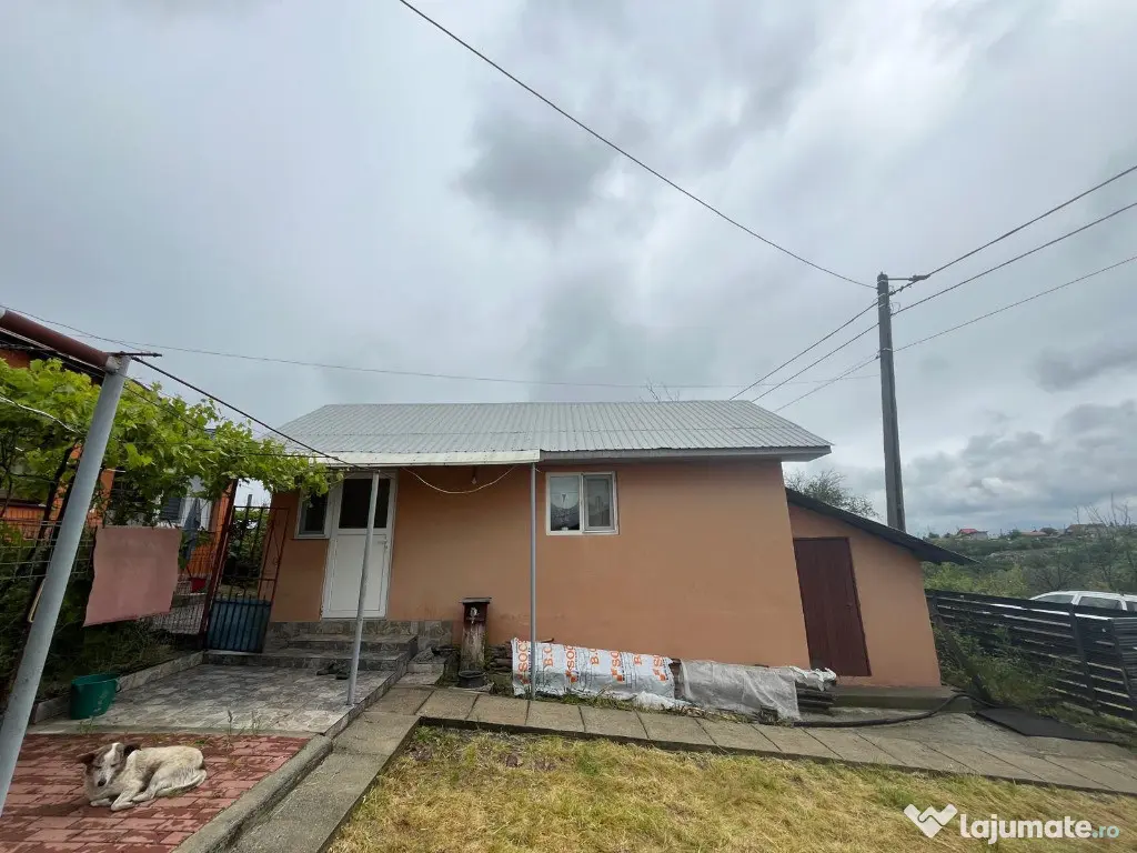 Casa traditionala + ANEXA locuibila, T=1153 mp, D = 27m, Satul nou