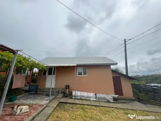 Casa traditionala + ANEXA locuibila, T=1153 mp, D = 27m, Satul nou