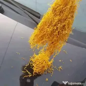 T_u_t_u_n de calitate